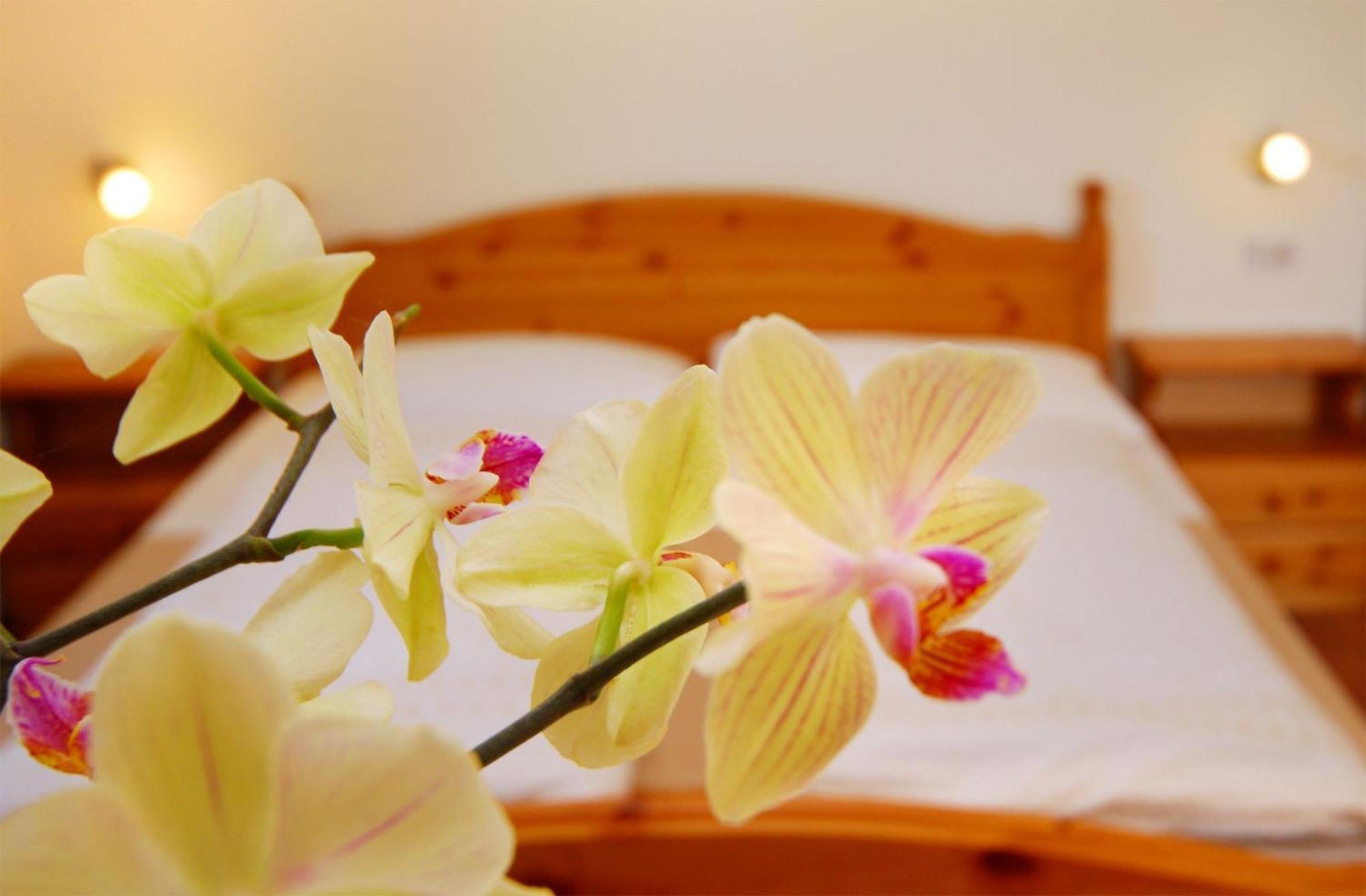 Garni Karlegger Bed & Breakfast Siusi Bilik gambar