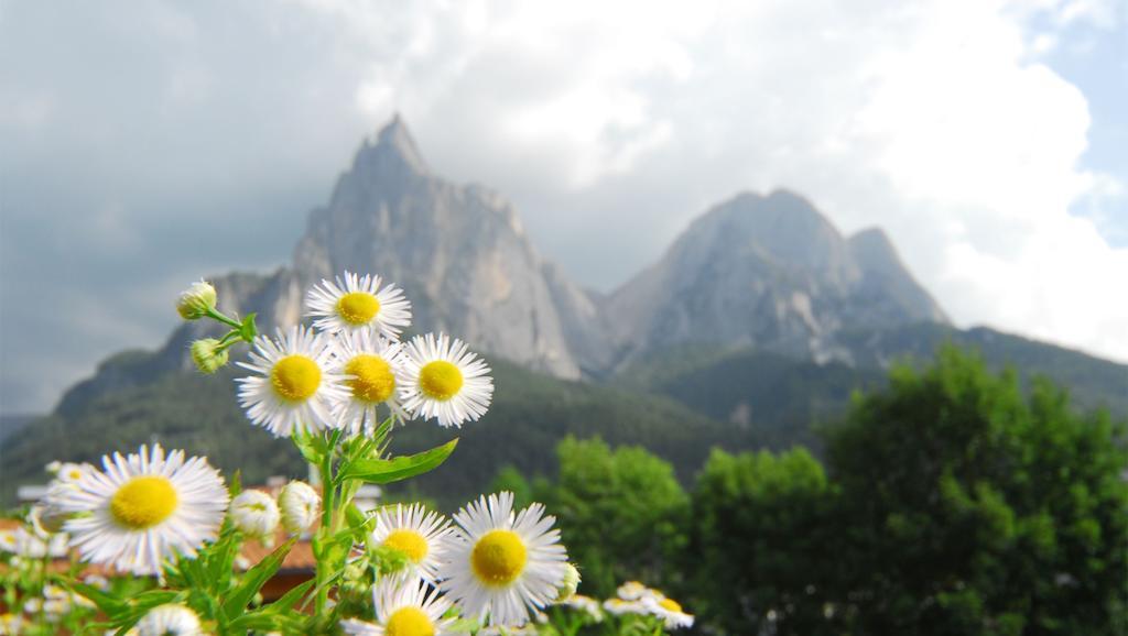 Garni Karlegger Bed & Breakfast Siusi Luaran gambar